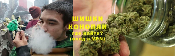 прущие грибы Арсеньев