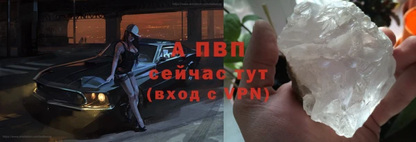прущие грибы Арсеньев