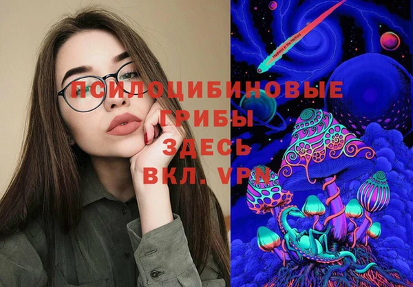 прущие грибы Арсеньев