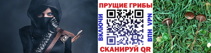 Галлюциногенные грибы MAGIC MUSHROOMS  Тольятти 